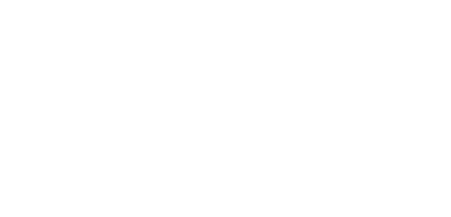 Besan