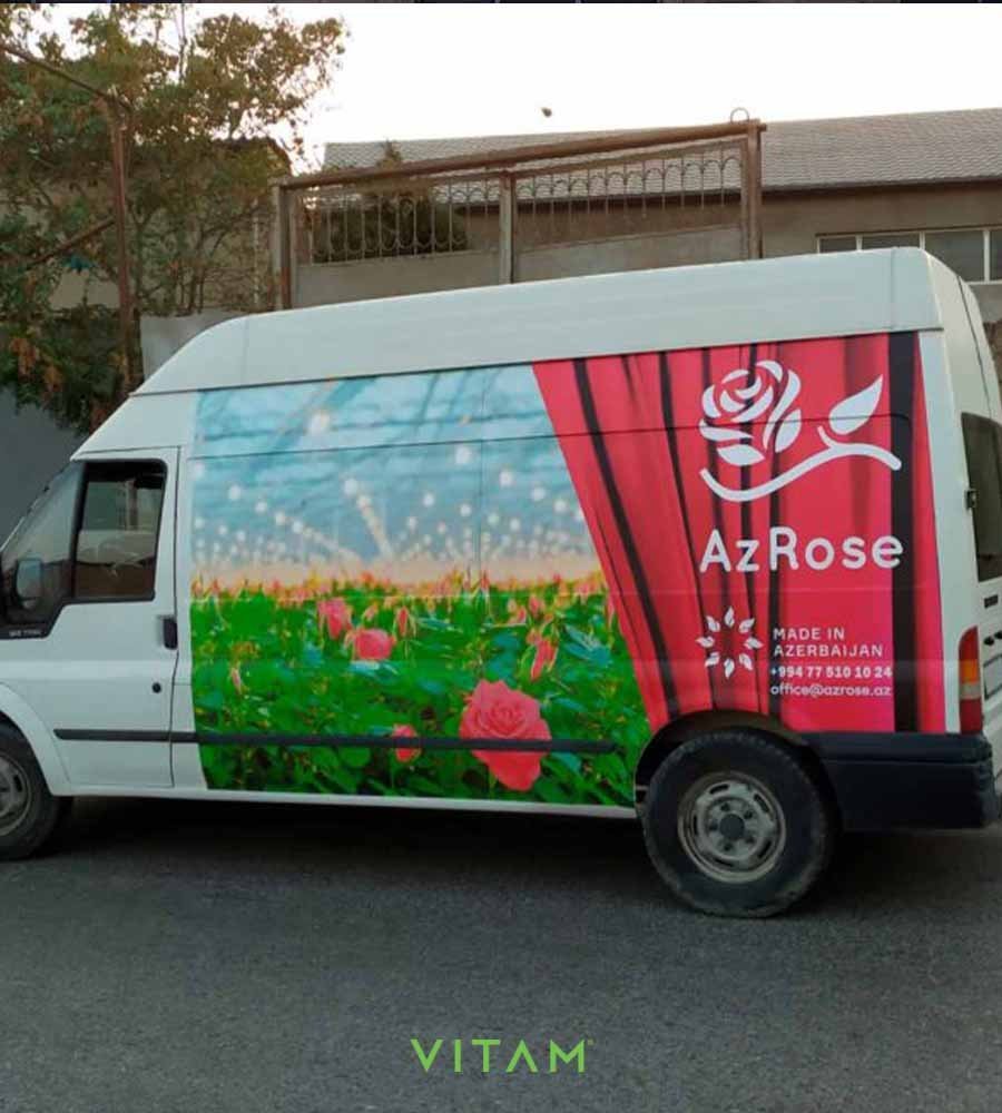 VITAM VISUALS — Azrose