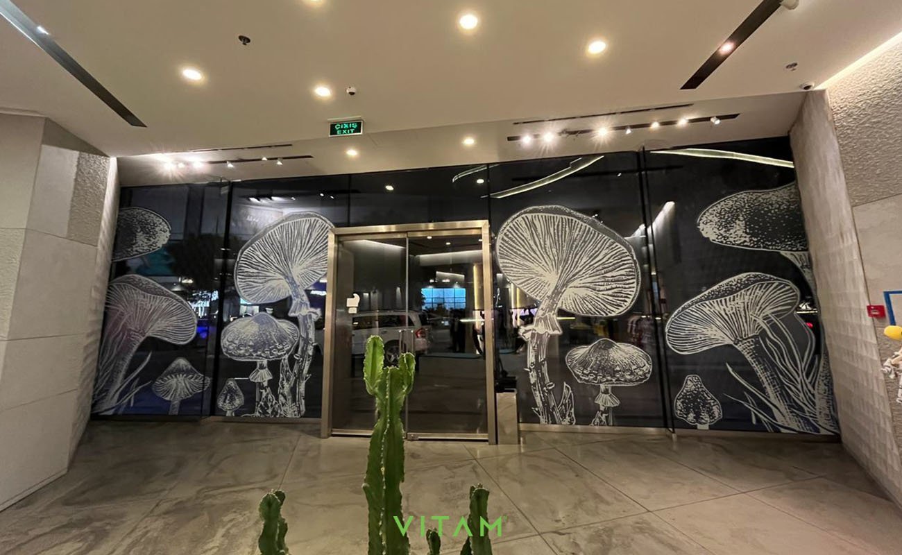 VITAM VISUALS — Emporium
